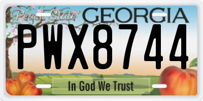 GA license plate PWX8744
