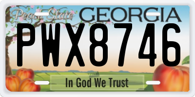 GA license plate PWX8746