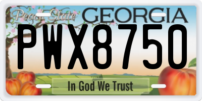 GA license plate PWX8750