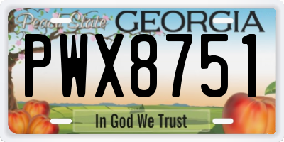 GA license plate PWX8751