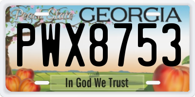 GA license plate PWX8753