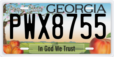 GA license plate PWX8755