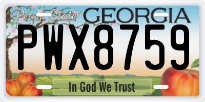 GA license plate PWX8759