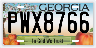 GA license plate PWX8766
