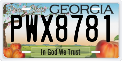 GA license plate PWX8781