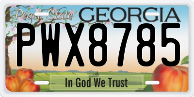 GA license plate PWX8785