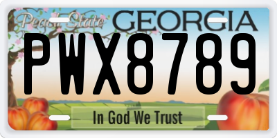 GA license plate PWX8789