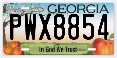GA license plate PWX8854