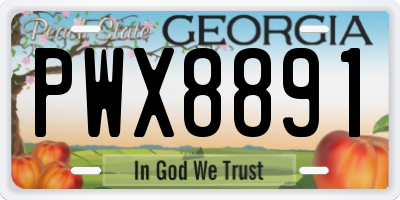 GA license plate PWX8891