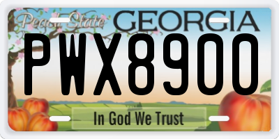 GA license plate PWX8900