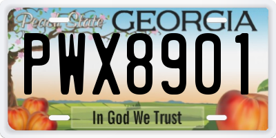 GA license plate PWX8901