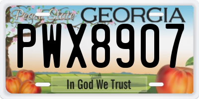 GA license plate PWX8907