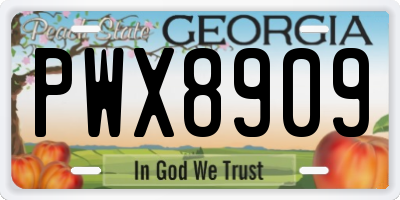 GA license plate PWX8909