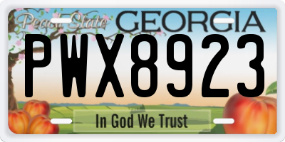 GA license plate PWX8923