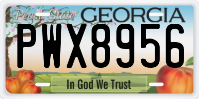 GA license plate PWX8956