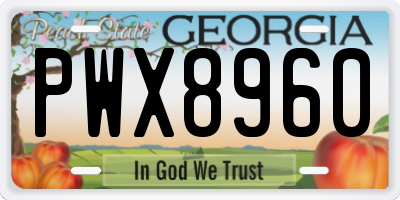 GA license plate PWX8960