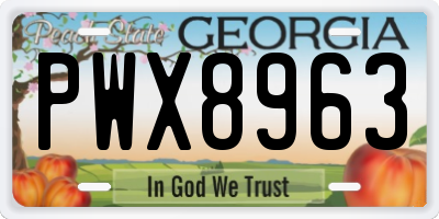 GA license plate PWX8963