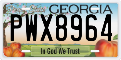 GA license plate PWX8964