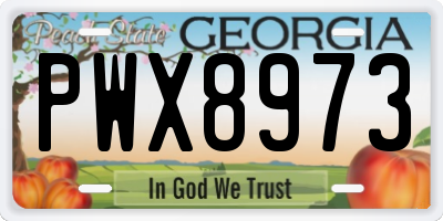 GA license plate PWX8973