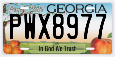 GA license plate PWX8977