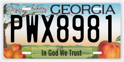 GA license plate PWX8981
