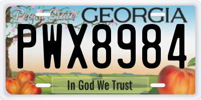 GA license plate PWX8984