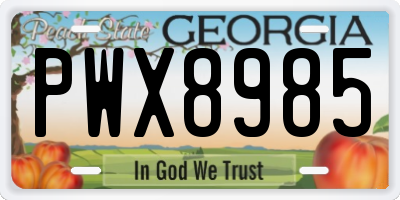 GA license plate PWX8985