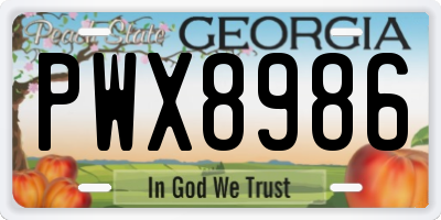 GA license plate PWX8986