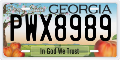 GA license plate PWX8989