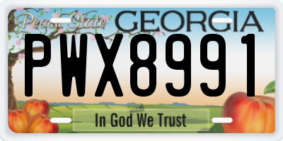 GA license plate PWX8991