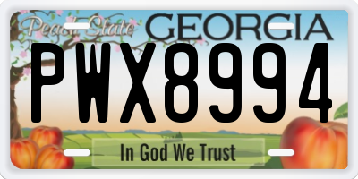 GA license plate PWX8994
