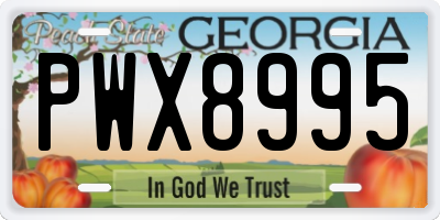 GA license plate PWX8995
