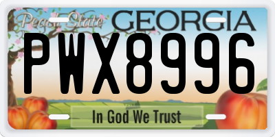 GA license plate PWX8996