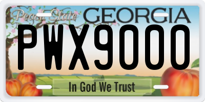 GA license plate PWX9000