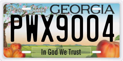 GA license plate PWX9004
