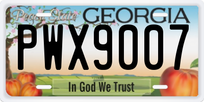 GA license plate PWX9007
