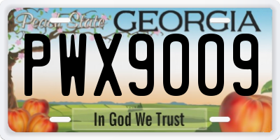 GA license plate PWX9009