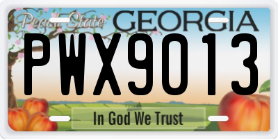 GA license plate PWX9013