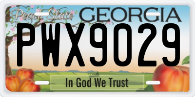 GA license plate PWX9029