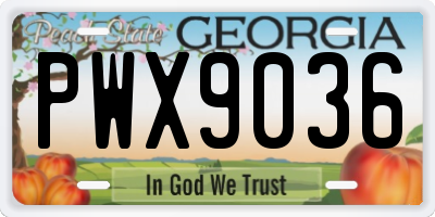 GA license plate PWX9036