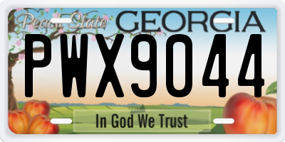 GA license plate PWX9044