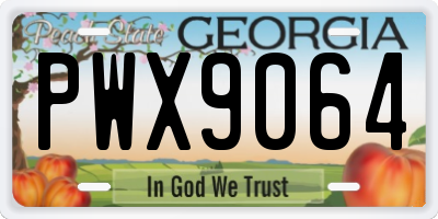 GA license plate PWX9064