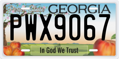 GA license plate PWX9067