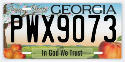 GA license plate PWX9073