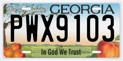 GA license plate PWX9103