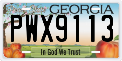 GA license plate PWX9113