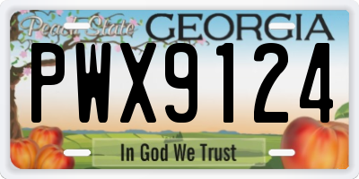 GA license plate PWX9124