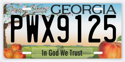GA license plate PWX9125