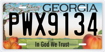 GA license plate PWX9134