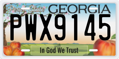 GA license plate PWX9145